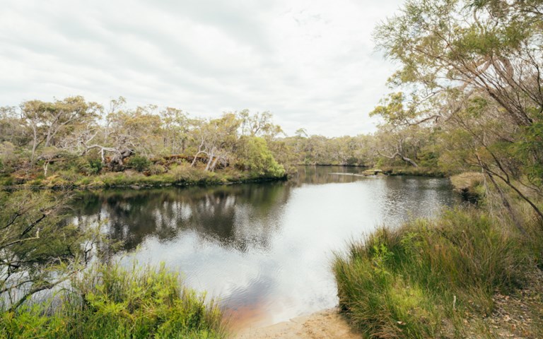 The value of nature